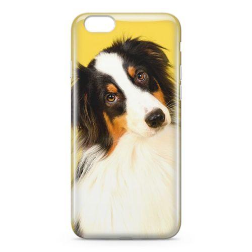 Apple iPhone 6 6s Kılıf Australian Shepard Arka Kapak Koruma Desenli Full Koruyucu