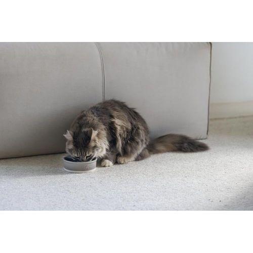 Beeztees DBL Kedi Mama Su Kabı, Seramik, Mat Gri, 12cm, 300ml