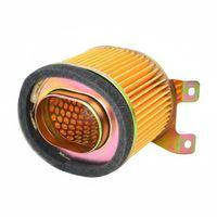 MOTORAN Scooter Fever-Karry Hava Filtre Elemanı