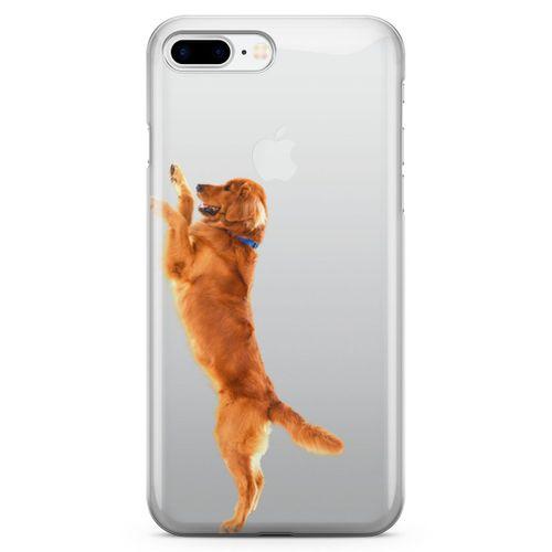 Apple iPhone 8 Plus Kılıf Golden Retriever Arka Kapak Koruma Desenli Full Koruyucu