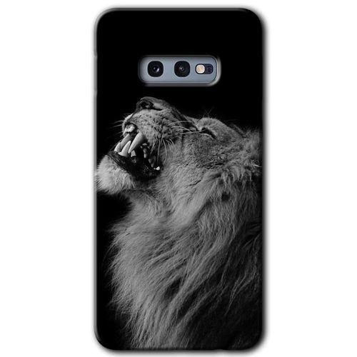 Samsung Galaxy S10e HD Baskılı Kılıf + 9D Tam Ekran Koruyucu - Lion
