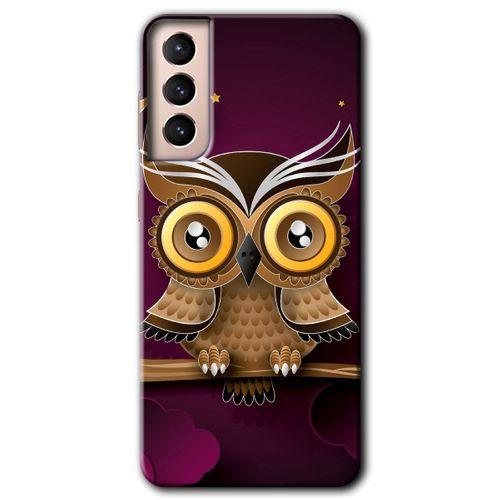 Potkal Hediye Fabrikası Samsung Galaxy S21 Plus HD Baskılı Kılıf + 9D Tam Ekran Koruyucu - Owl Bird Branch