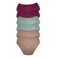 6 Adet Kadın Yüksek Bel Ribana Bato Külot S084