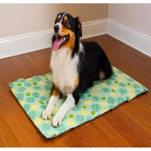 Pawise Serinletici Mat MD 65x50 Cm Çiçek Desenli