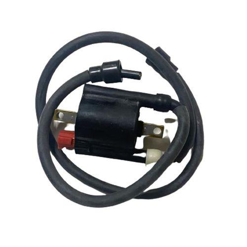 Ateşleme Bobini RS 200