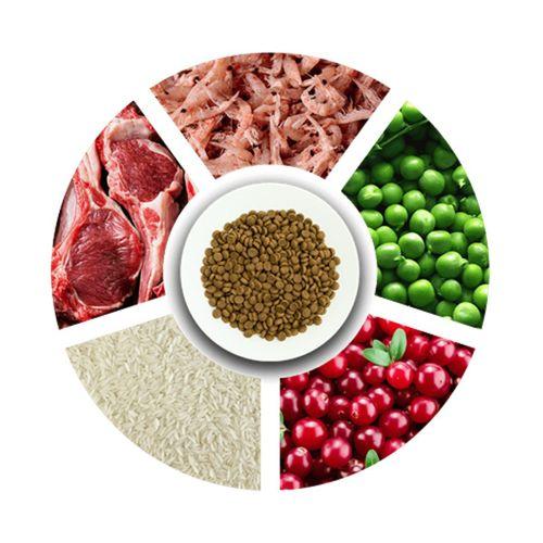 Prochoice Yetişkin Kediler İçin, Hipoalerjenik, Kuzu Etli Ve Pirinçli Kuru Mama 2 kg