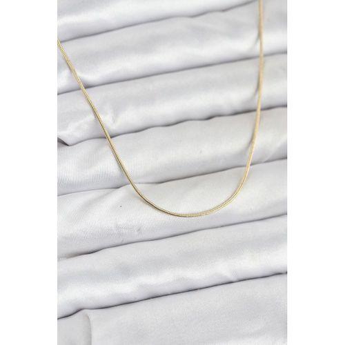 CM 14K Gold Renk Yılan Zincir Model Kadın Kolye