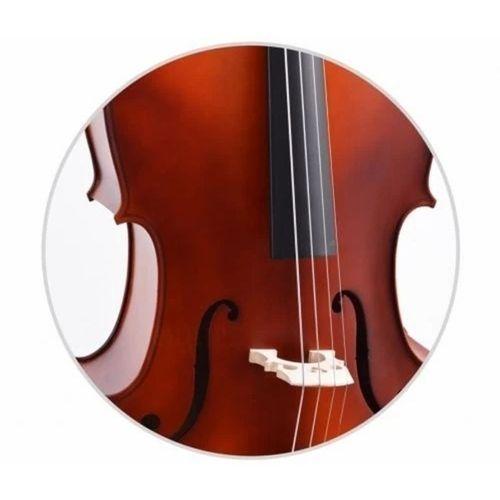 Çello  Viyolonsel  Gül 1 4 DCR14NM