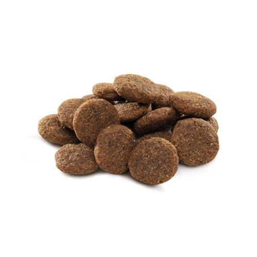 Brit Premium By Nature Büyük Irk Yetişkin Köpekler İçin, Tavuk Etli Kuru Mama 15 kg