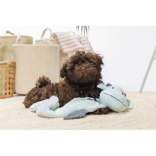 Beeztees Yavru Köpek Oyuncağı, Dragon, Peluş, Gri, 70x16x10cm