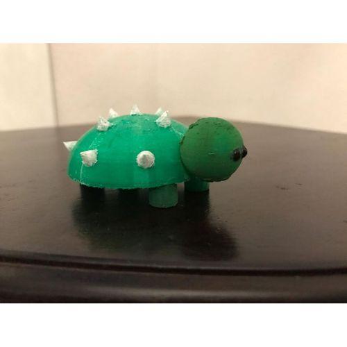 Tortuga - 3713937