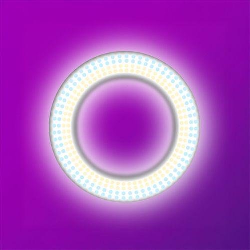 Zore LJJ22 RGB Light 56cm Işıklı Telefon Tutucu Ring Light