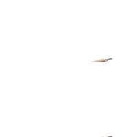 Ahşap Saplı Süzgeç 21 Cm Royaleks-BLSASS22