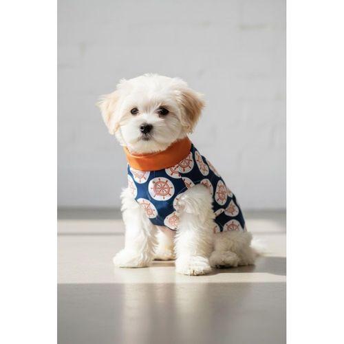 Navigator Küçük Köpek Yağmurluk Ceket