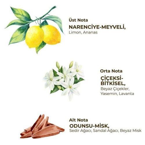 Eyüp Sabri Tuncer Eyüp Sabri Tuncer Kadın Roll On Deodorant 75 ml Fresh