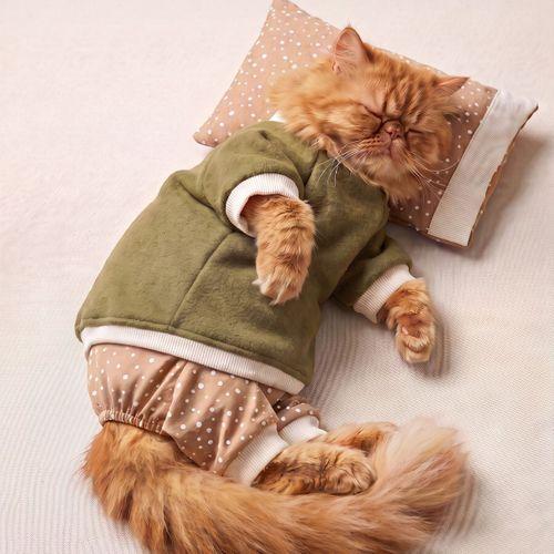 Latte & Matcha Kedi Rüyası | Pamuklu Kedi Tulumu, Polar Sweatshirt ve Mini Yastık | 3 Parça