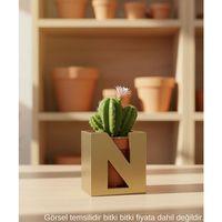 Gold Harf Şeklinde Mini Dekoratif Saksı Kişiye Özel Baş Harf Tasarım Masaüstü Ofis Dekoru