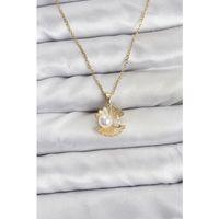 316L Çelik Zincir Gold Renk İstiridye İnci Model Zirkon Taşlı Kadın Kolye