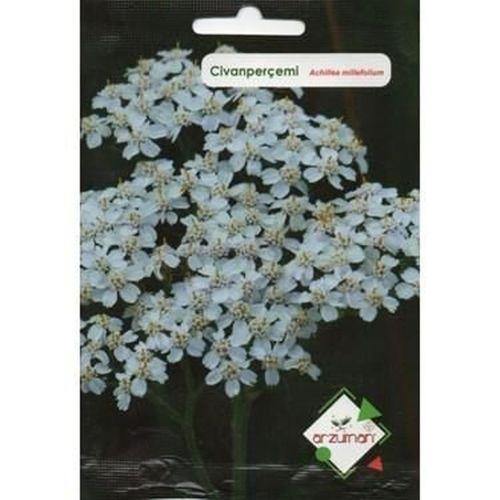 Civanperçemi Tohumu (100 adet)