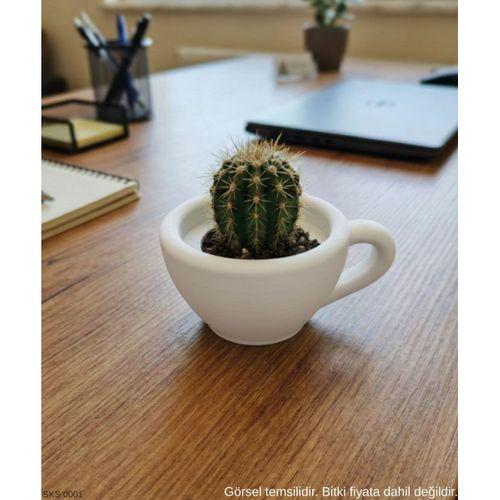 Beyaz Mini Dekoratif Fincan Şeklinde Saksı 6 Cm Masa Üstü Ofis Ev Dekoru