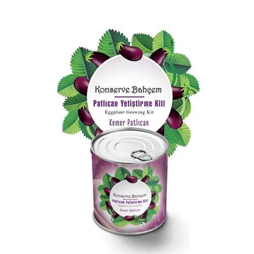Konserve Bahçem Evde Konservede Kemer Patlıcanyetiştirme Kiti