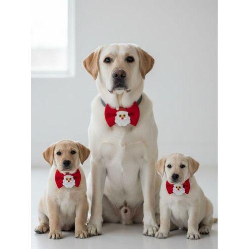 Rudolph Köpek Papyon Tasması | Kırmızı Fiyonk Boyun Aksesuarı | Noel Temalı Köpek Süsü | Orta ve Büyük Irklar İçin