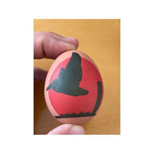 Eggbot Pelikan Gün Batımında (Bu ürün Sadece Plastik parçadır - Almadan Önce Soru Sorabilirsiniz)