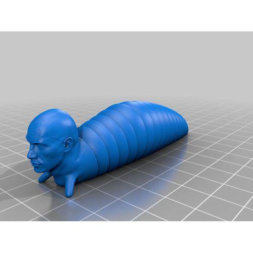 Dost eklemli halı (kaya sümüğü) - 5148846