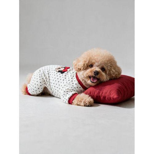 Polka Dot Rouge Minny Köpek Uyku Seti | Siyah Beyaz Puantiyeli Penye Köpek Tulumu ve Mini Yastık |2 Parça