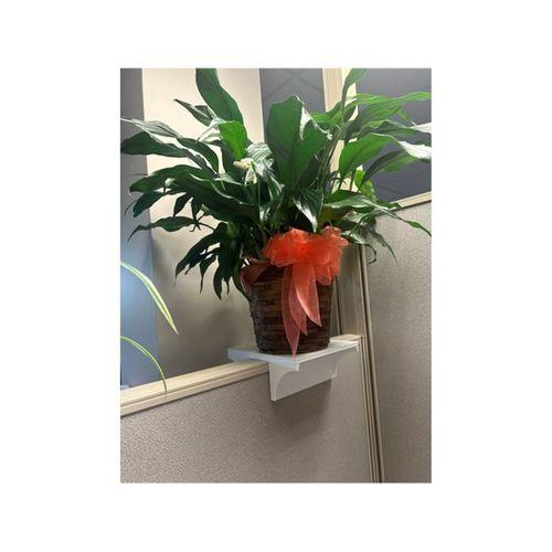 - Kübik Duvar Rafı ÜST PLAKA HER İKİ TARAF (Bu ürün Sadece Plastik parçadır - Almadan Önce Soru Sorabilirsiniz)