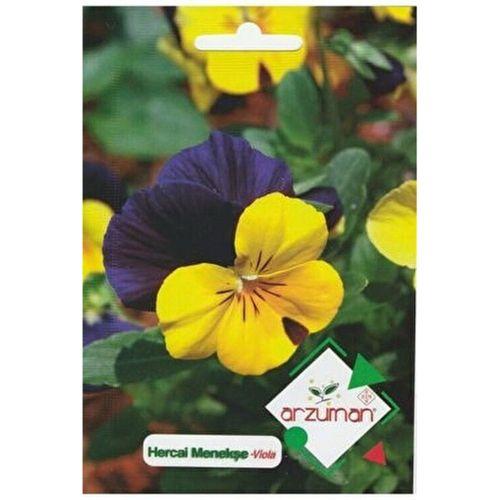 Hercai Menekşe Çiçeği Tohumu (100 Adet)