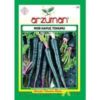 Mor Havuç Tohumu (10 gr) Arzuman