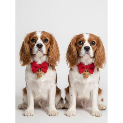 Yılbaşı Geyiği Küçük Irk Köpek Papyon Tasması | Kırmızı Fiyonk Boyun Aksesuarı | Noel Temalı Köpek Süsü