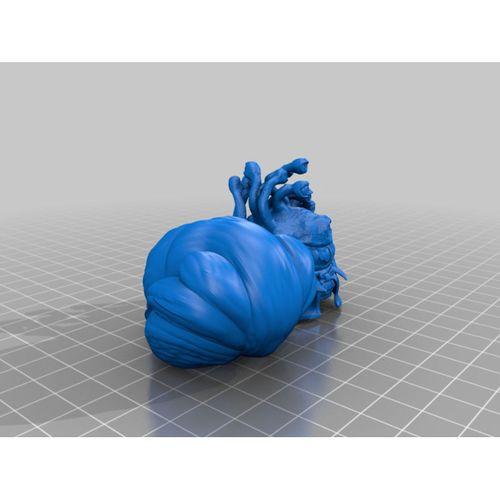 Omni Magnificent - 5151977