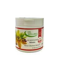 Dr. Wellbec Dr. Wellbec Dr Wellbec At Kestanesi Balsamı 500ml