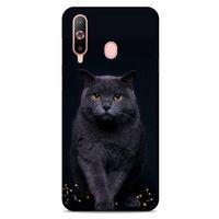 Lopard Samsung Galaxy A60 Uyumlu Kılıf Kediler (47) Crystal Flex Kılıf Scottish Fold