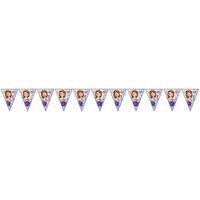 SOFİA THE FİRST BAYRAK SET (11AD 3,2M)
