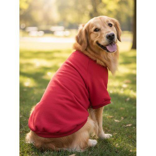 Reddy Kırmızı Kapşonsız Sweatshirt, Orta ve Büyük Irklar İçin