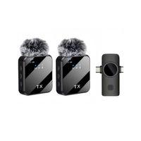 ZR1029 F13 İki Girişli İkili Mikrofon