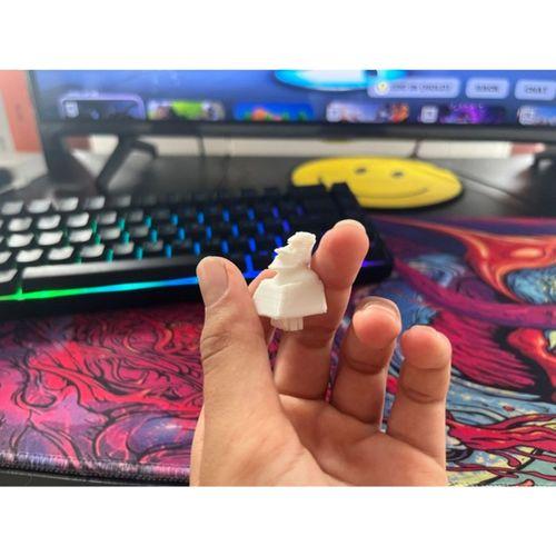 Membran Gerilmiş Moai Tuş Kapağı (Bu ürün Sadece Plastik parçadır - Almadan Önce Soru Sorabilirsiniz)
