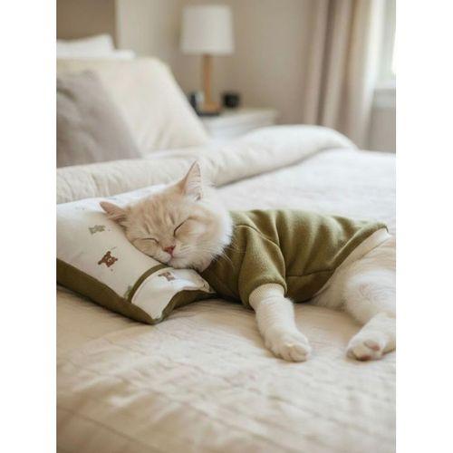 Teddy Forest Chic Polar Sweat ve Yastık Takımı – Kediler İçin Uyku by Kemique