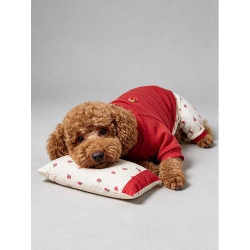 Tatlı Çilek Köpek Rüyası | Pamuklu Çilekli Köpek Tulumu, Kırmızı Sweatshirt ve Mini Yastık | 3 Parça