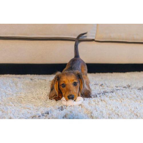 Beeztees Yavru Köpek Diş Oyuncağı, İçi Dolu Halka, Kauçuk, Pembe, 8cm