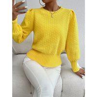 Kadın Uzun Kollu Bisiklet Yaka Triko Bluz