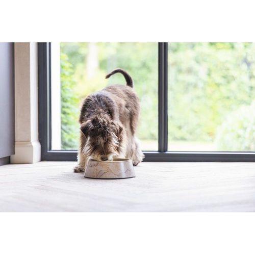 Beeztees DBL Köpek Mama Su Kabı, Mat Altın Rengi Paslanmaz Çelik, Bej Mermer Görünümlü, 14cm, 160ml