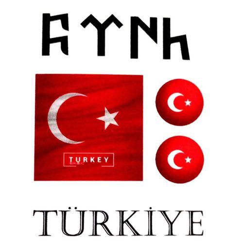 Dekoratif Etiket Sticker Türkiye 80X120Mm Dl-020 - 4 adet