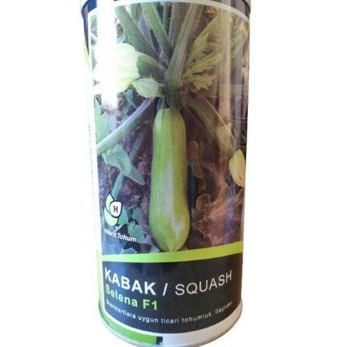 Selena F1 Kabak Tohumu Hibrit (10 Adet)