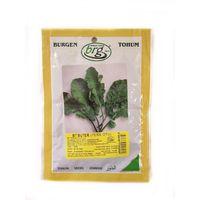 BT Buter Tere Tohumu (10 Gr) Geniş Yapraklı Tere