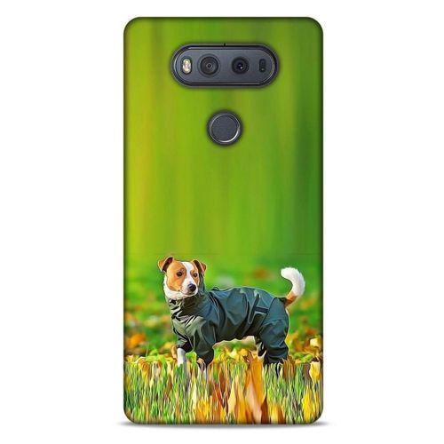 LG K61 Kılıf Köpek Kıyafetleri (26) Tpu Silikon Kılıf Jack Russell Yağmurluk