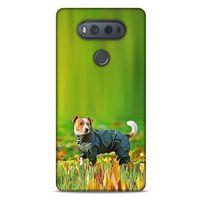 LG K61 Kılıf Köpek Kıyafetleri (26) Tpu Silikon Kılıf Jack Russell Yağmurluk